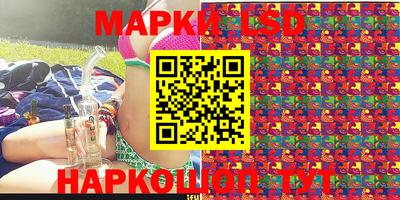 амф Коммунар
